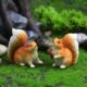Cute Squirrel Resin Figurine for Garden Decoration